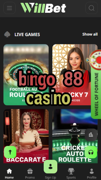 Bingo 88 Casino - Lucky Bingo Games-www.bdqngd.com
